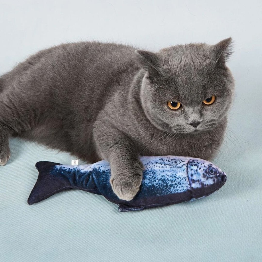 FishCat - Juguete para gatos