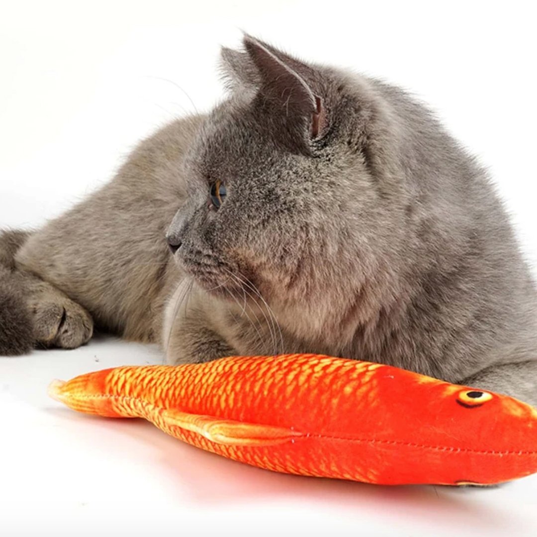 FishCat - Juguete para gatos