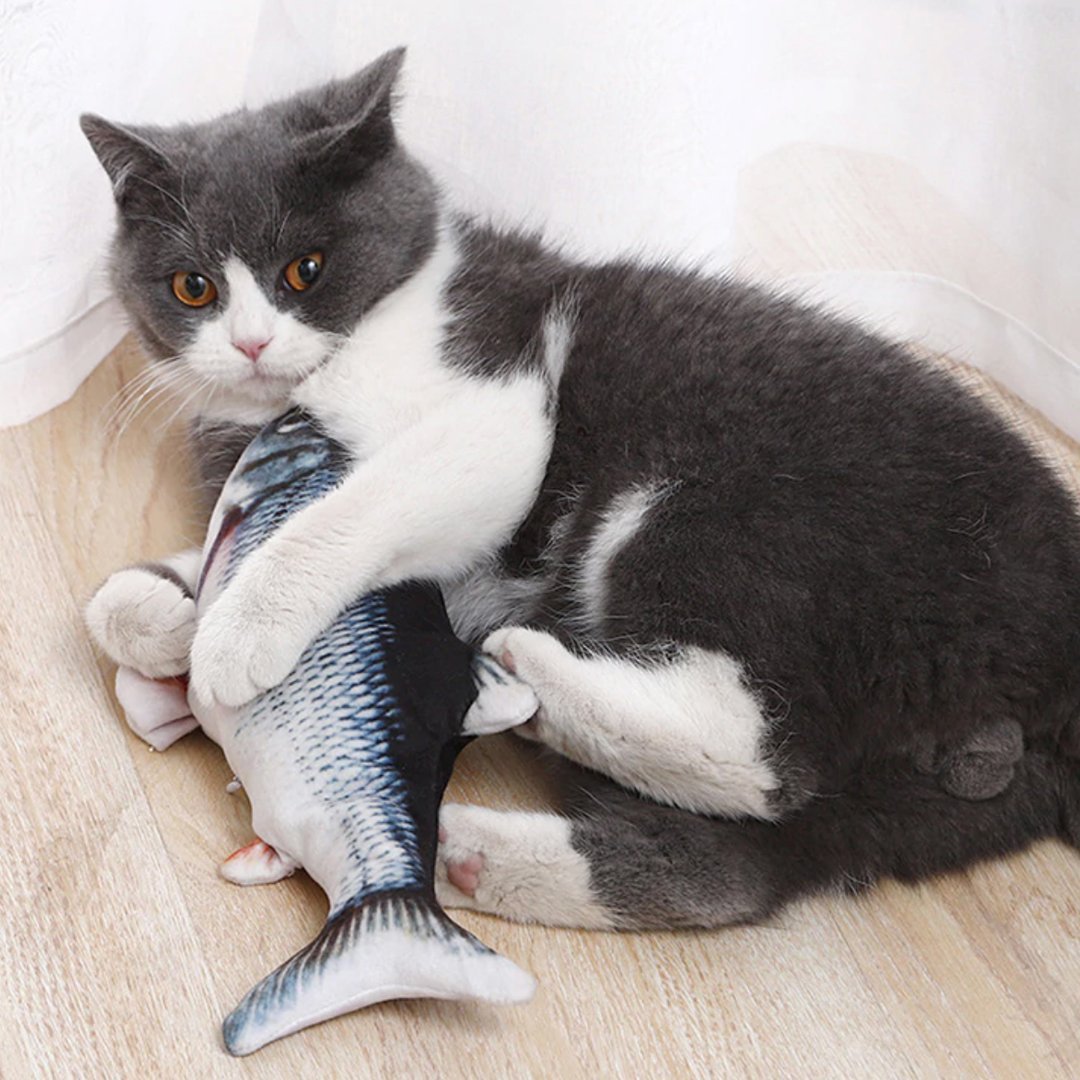 FishCat - Juguete para gatos